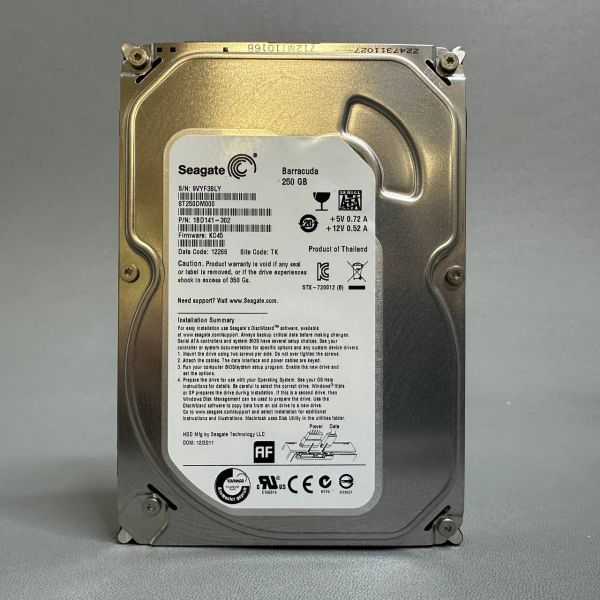 Жесткий диск Seagate 250 Gb ST250DM000 (SLY)