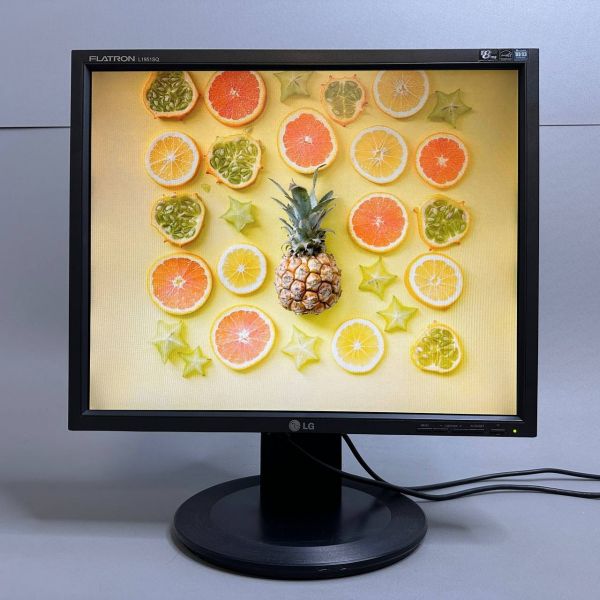 19'' Монитор LG Flatron L1951SQ, 1280x1024, 75 Гц, черный