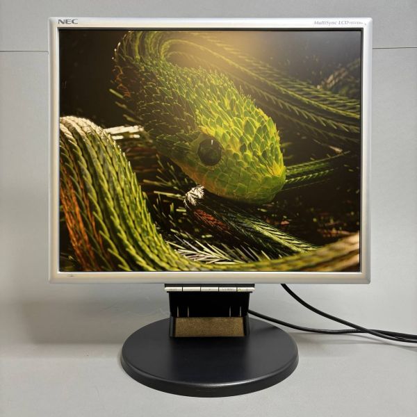 19'' Монитор NEC MultiSync LCD195VXM+, 1280x1024, 76 Гц, TN серый