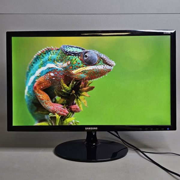 24'' Монитор Samsung S24D300H, 1920x1080, 60 Гц, TN, черный