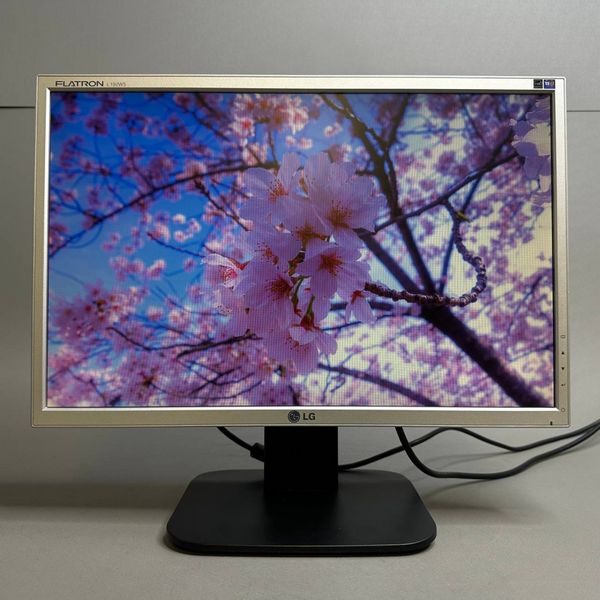19' Монитор LG Flatron L192WS, 1440x900, 75 Гц, TN, серый