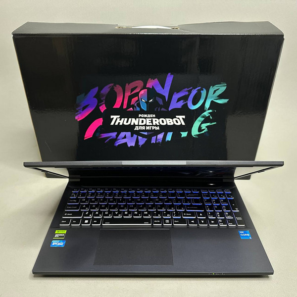 15.6'' 144 Гц Ноутбук Thunderobot 911S Core D (JT009K00FRU) черный