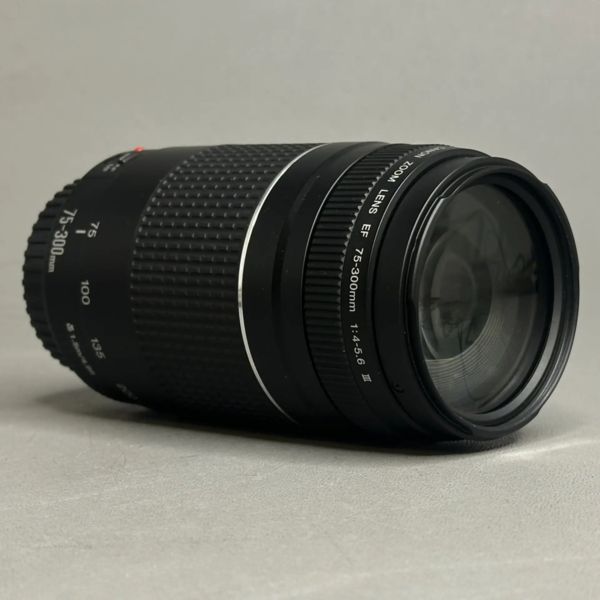 Объектив Canon EF 75-300mm f/4-5.6 III