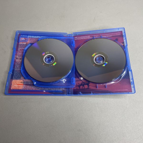 Игра Red Dead Redemption 2 для PlayStation 4 (PS4, диск, русские субтитры и интерфейс)
