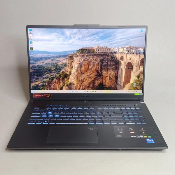 17.3'' Игровой ноутбук Asus TUF Gaming F17 FX707ZV4-HX020, серый