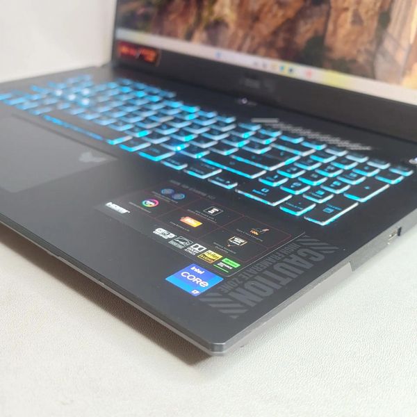 17.3'' Игровой ноутбук Asus TUF Gaming F17 FX707ZV4-HX020, серый