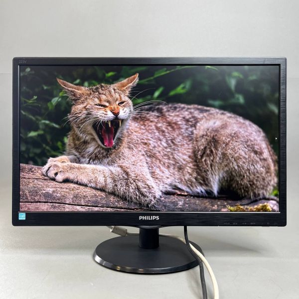 21.5 Монитор Philips 223V5LSB/00, 1920x1080, 76 Гц, TN, черный