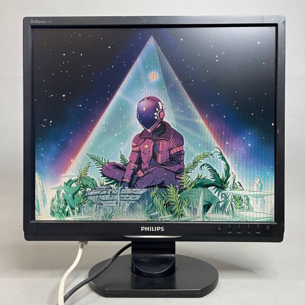 19'' Монитор PHILIPS 19S1SB черный