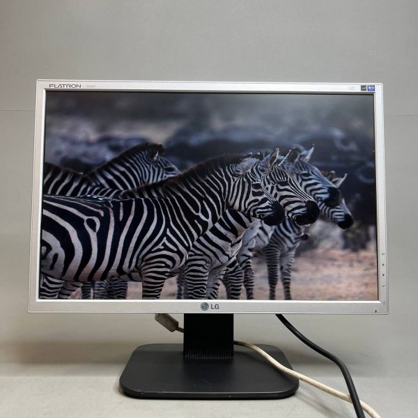 19' Монитор LG Flatron L192WS, 1440x900, 75 Гц, TN, серый